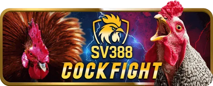 Hình ảnh mô tả quản lý tài khoản và thỏa thuận người dùng trên E2BET Link Mới